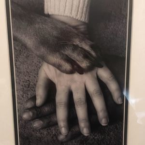 Meet your Posher, Alison